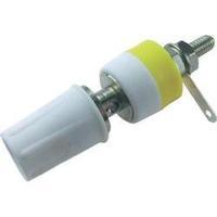 Pole terminal White 15 A Cliff CL1554D 1 pc(s)