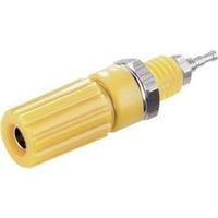 Pole terminal Yellow 10 A SCI 1 pc(s)