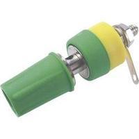 Pole terminal Green 15 A Cliff CL1553D 1 pc(s)