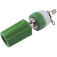 Pole terminal Green 15 A Cliff CL1508 1 pc(s)