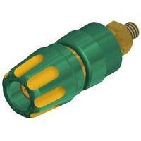 Pole terminal Yellow-green 35 A SKS Hirschmann PKI 10 A Au 1 pc(s)