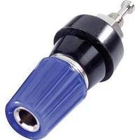 Pole terminal Blue 10 A SCI 1 pc(s)