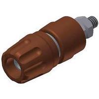 Pole terminal Brown 35 A SKS Hirschmann SKS Kontakttechnik GmbH 1 pc(s)