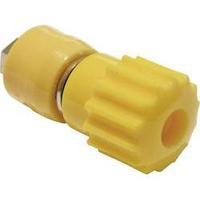 Pole terminal Yellow 16 A Schnepp 1 pc(s)