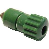 Pole terminal Green 16 A Schnepp 1 pc(s)