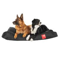 Poi Dog® Dog Bed Duvet - Black LRG/XL