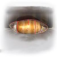 Potato Express Microwave Potato Cooker , Polypropylene 9.6\