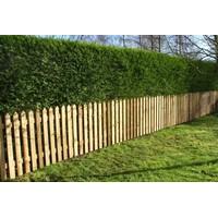 Pointed Top Picket Pales - Treated Garden Fencing 3ft (900mm) High (20)