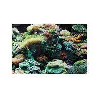 Poster Background Marine Reef & Coral 18 inch