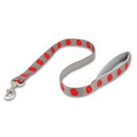 poppy paws grey dog lead