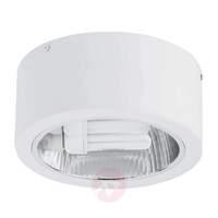 pote 2 puristic aluminium ceiling lamp white