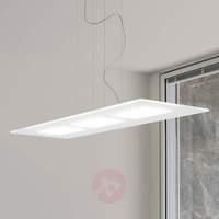 Powerful Dublight LED pendant light