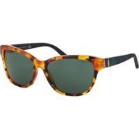 Polo PH4093 5501/71 (havana brown-checked green-blue/green)