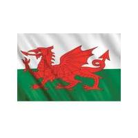 Polyester Flag Welsh 5ft x 3ft