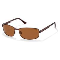 Polaroid Sunglasses P4416 Contemporary Polarized 09Q/PK