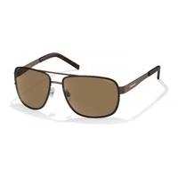 polaroid sunglasses pld 2025s polarized m4xig