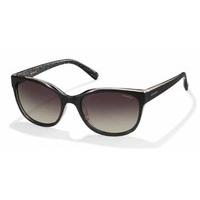 Polaroid Sunglasses PLD 4030/S Polarized 6AR/LA