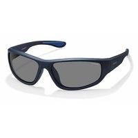 Polaroid Sunglasses PLD 3017/S Polarized 29J/C3