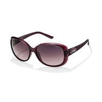 polaroid sunglasses p8430 so chic polarized c6tmr