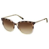 Polaroid Sunglasses PLD 4043/S Polarized Y67/X3