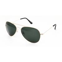 Polaroid Sunglasses 04213 Contemporary Polarized 00U/H8