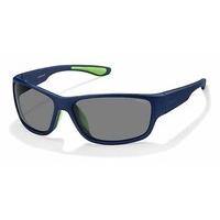 Polaroid Sunglasses PLD 3015/S Polarized X03/C3