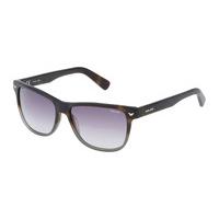 Police Sunglasses S1953 MASTER 3 793M