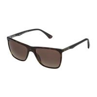 Police Sunglasses SPL362 BROOKLYN 2 Polarized 722P