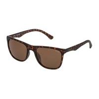 Police Sunglasses SPL357 BLACKBIRD LIGHT 2 878P