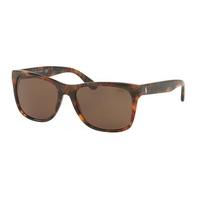 polo ralph lauren sunglasses ph4106 pop color 501773