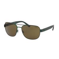 Polo Ralph Lauren Sunglasses PH3101 900573