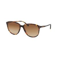 Polo Ralph Lauren Sunglasses PH4097 513413