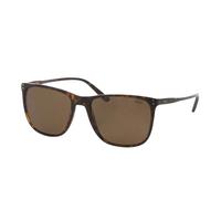 Polo Ralph Lauren Sunglasses PH4102 500373