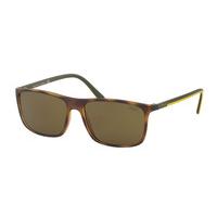 Polo Ralph Lauren Sunglasses PH4115 560273