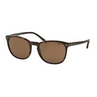 Polo Ralph Lauren Sunglasses PH4107 500373