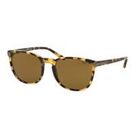 Polo Ralph Lauren Sunglasses PH4107 500473