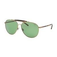 Polo Ralph Lauren Sunglasses PH3106 911671