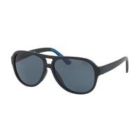 Polo Ralph Lauren Sunglasses PH4123 562987