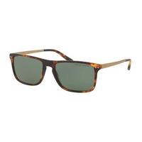 Polo Ralph Lauren Sunglasses PH4119 Polarized 53519A