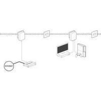 Powerline adapter 500 Mbit/s Renkforce PL500D Duo