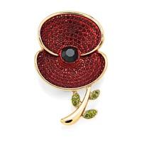 Poppy Collection Crystal and Leaf Brooch Large Gold