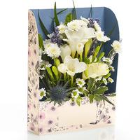 PP Freesia Cream