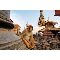 Private Kathmandu Sightseeing Tour