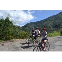 private bicycle tour of jamaicas blue mountains from falmouth