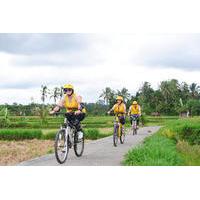 Private Tour: Ubud Cycling and Walking Adventure