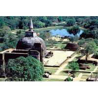 private half day tour polonnaruwa gal vihara and ruins city