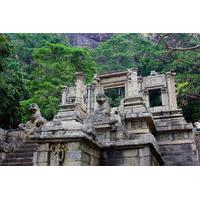 Private Day Trip to Sri Lanka\'s Northwest: Ancient Kingdoms Tour from Colombo