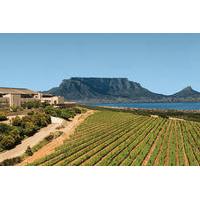 Private Tour: Durbanville Wine Valley Tasting Tour from Stellenbosch