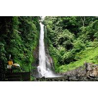 private tour natural bali and temples tour
