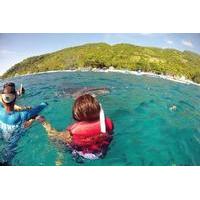 Private Tour: Whale Shark Snorkeling in Sumilon Island from Cebu